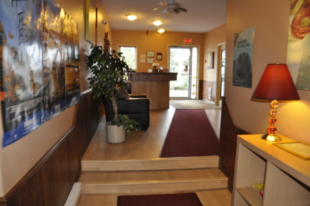 Buckingham Motel Les Pignons Verts מראה חיצוני תמונה