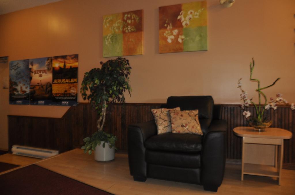 Buckingham Motel Les Pignons Verts מראה חיצוני תמונה